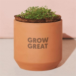 Modern Sprout® Tiny Terracotta Grow Kit Thank You Daisies